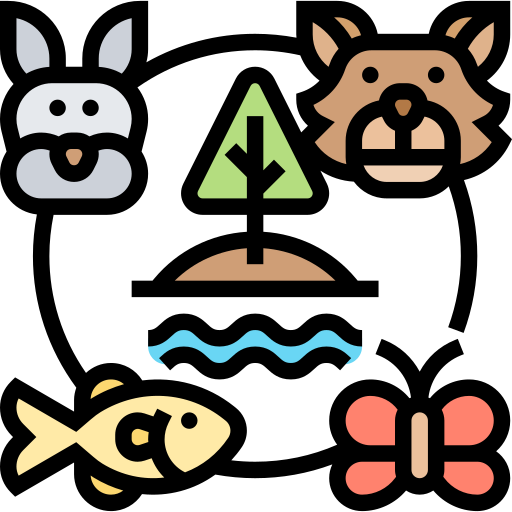 animals