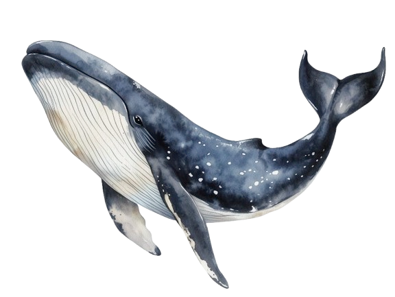 whale
